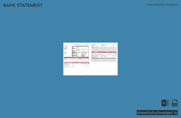 Kontoauszug der Axis Bank India (Excel-Datei, 3 Seiten), Beispielvorschau